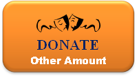 Orange donate button with white text for other amount